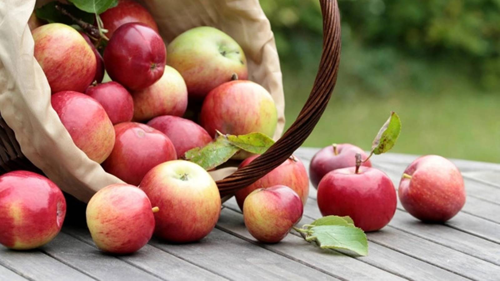 Avustralyalı bilim insanı, Elmanın hiç bilinmeyen bir faydasını açıkladı