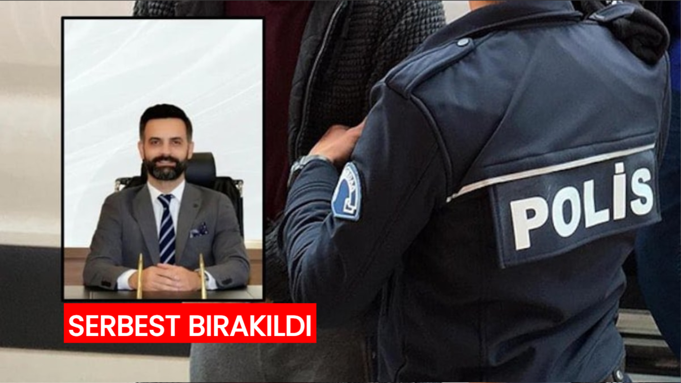 TÜİK Başkanının Rektör Yardımcısı Kardeşi Dolandırıcılıktan Gözaltına Alınmıştı Serbest Kaldı