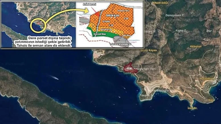 Bodrum'daki zeytinlik vurgunu Meclis gündeminde: Bodrum Belediyesi'ne soruşturma açıldı mı?