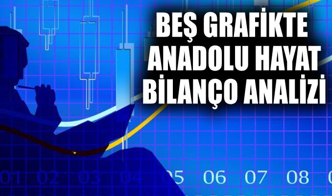 Beş Grafikte Anadolu Hayat Bilanço Analizi