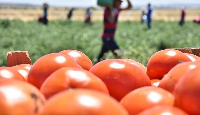 İstanbul Perakendeciler Derneği Başkanı: Bedava ürünün maliyeti bile 5.5 TL