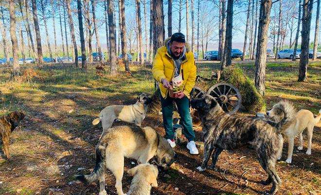 Onur Büyüktopçu sokak hayvanlarını unutmadı