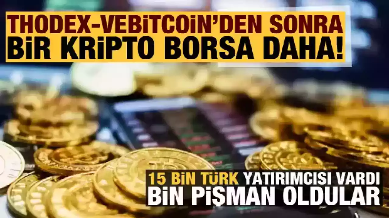 Kripto para borsasında yeni vurgun! Vurgunun adı Bitexnova