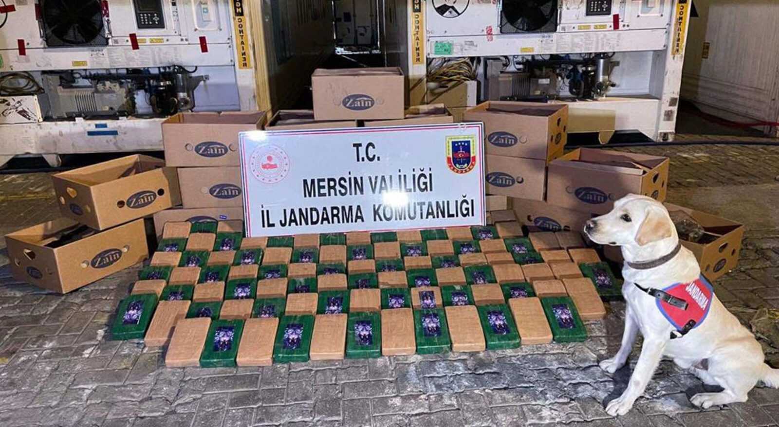 Mersin Limanı'nda 258 kilo kokain yakalandı